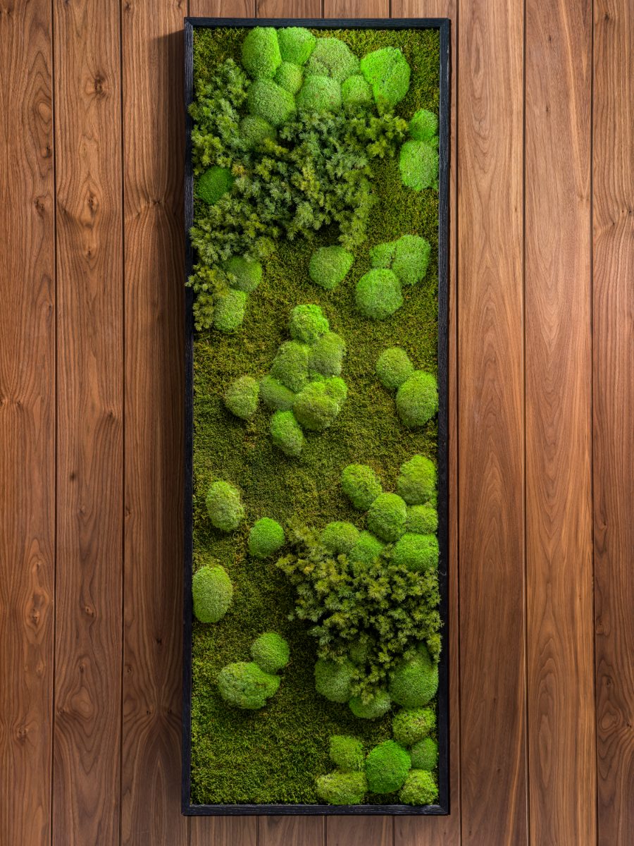 Preserved-moss wall art panel framed in black on walnut paneling at JAMS Miami — bun moss, sheet moss, and reindeer lichen in dimensional layers.