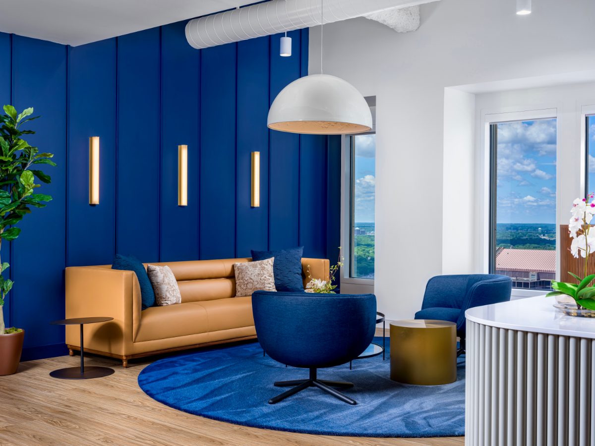 JAMS MN lounge — cognac sofa, navy swivel chairs, glass table on cobalt rug, cobalt board-and-batten wall with three brass tube sconces, fiddle-leaf fig, canopy view.